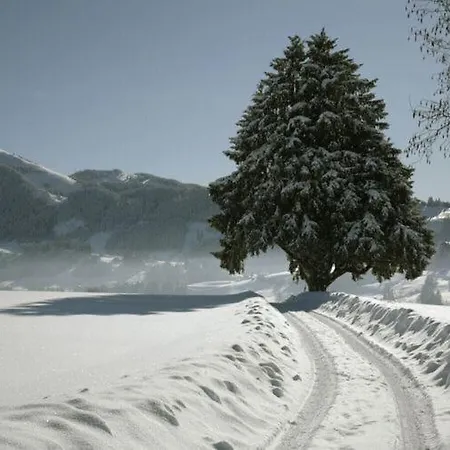 Lovely In *